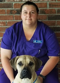 Brittany, Veterinary Assistant