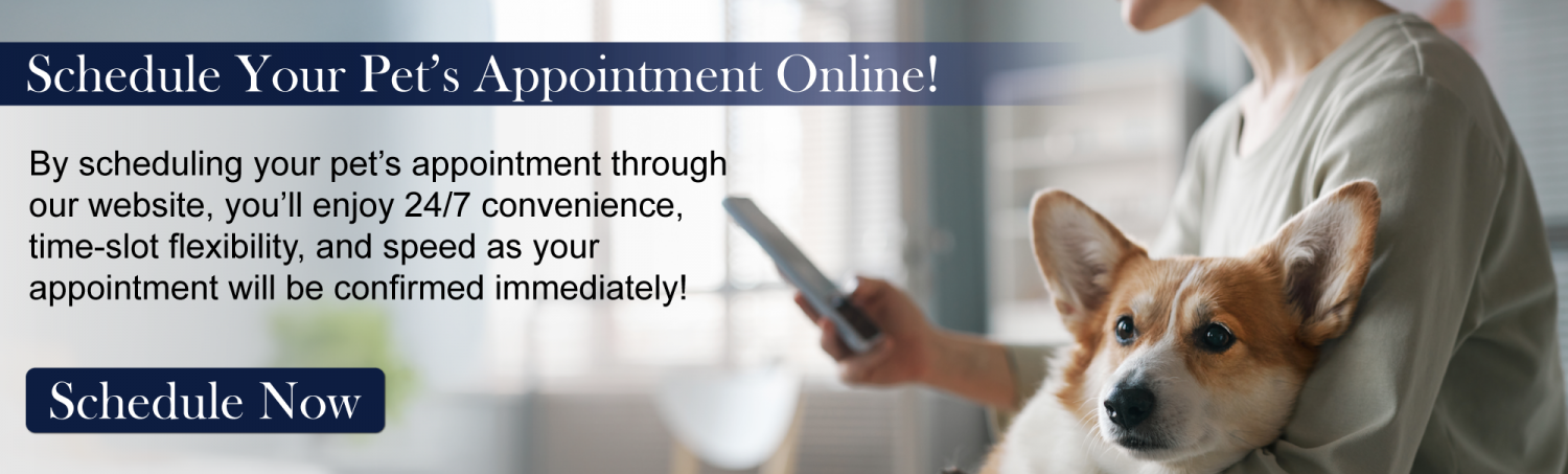 Online Appointment Promotional Banner